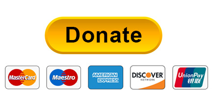 credit cards underneath a 'Donate' button
